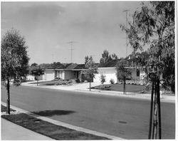 View of homes on Saint Francis Road, Santa Rosa, California, 1968