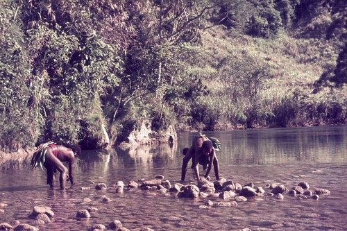 Young men constructing a weir in the Erave River