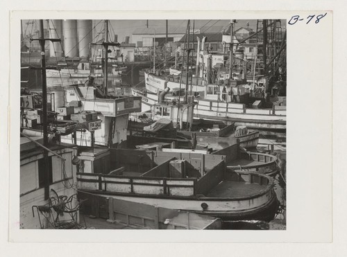 Fishing boats, formerly operated by residents of Japanese ancestry, are tied up for the duration at Terminal Island in Los