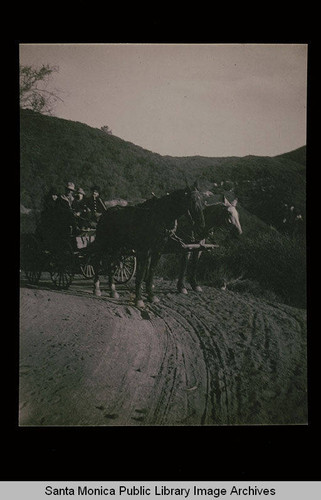 Horse and buggy in Topanga Canyon, Calif
