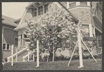 [Sacramento houses, 1907] (4 views)