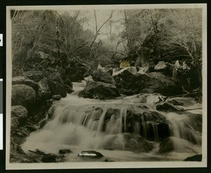 Robinson Creek near Ukiah, ca.1910