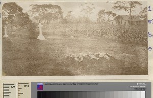 Graveyard, Kikuyu, Kenya, ca.1911