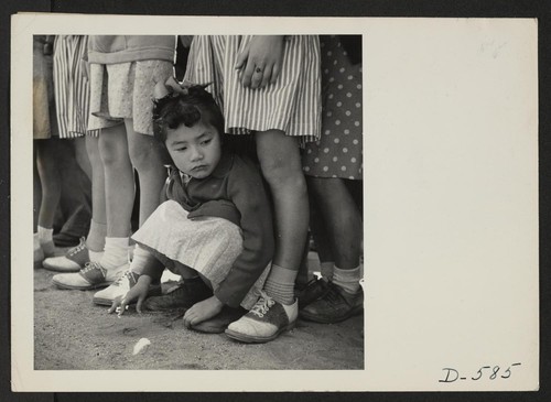 Manzanar, Calif.--A little girl evacuee of Japanese descent watches the Memorial Day Service. Evacuee Boy Scouts took a leading part in the ceremony held at this War Relocation Authority Center. Photographer: Stewart, Francis Manzanar, California