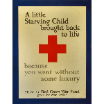 A Little Starving Child Brought Back to Life (Red Cross)