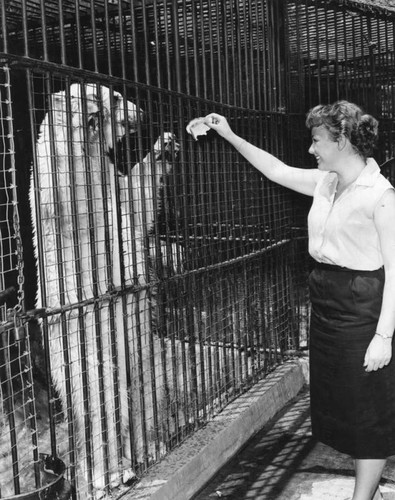Gail Petersen feeding bear at zoo