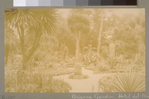 Arizona Garden. Hotel del Monte [Monterey]. 13