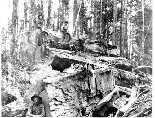 Lumber men at Sugar Pine