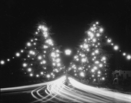 Altadena's Christmas Tree Lane