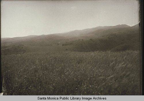 Grasslands and open field in Temescal Canyon, Calif