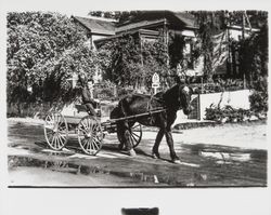 Horse and buggy on street of Guerneville after the flood