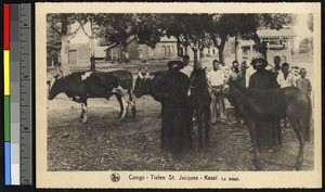 Missionaries with cattle, Congo, ca.1920-1940