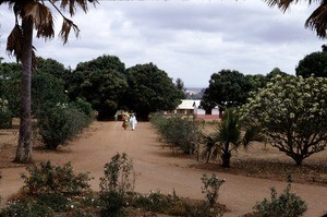 The driveway at Ngaoundéré mission, Adamaoua, Cameroon, 1953-1968