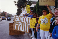 1990 - Malathion Protest