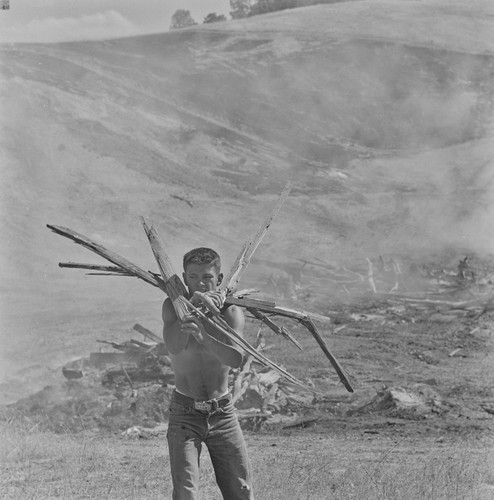 Young man gathering wood, from Death of A Valley