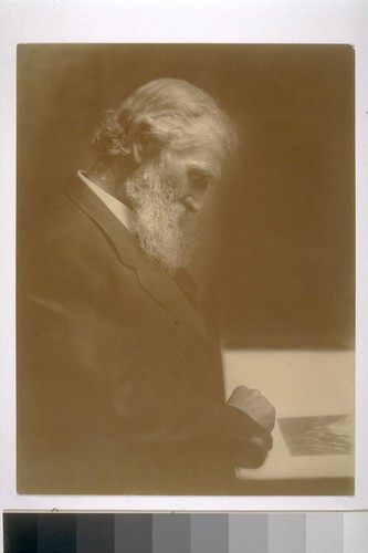 [Portrait of John Muir looking at a picture.]