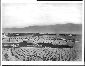 Landscape of Pasadena on Orange Grove Avenue, looking north, ca.1876