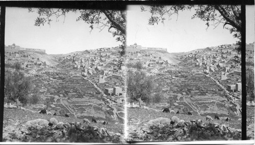 Village of Siloam and Kedron Valley Jerusalem. Palestine