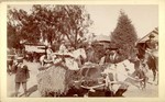 [View of pony pulling decorated cart]