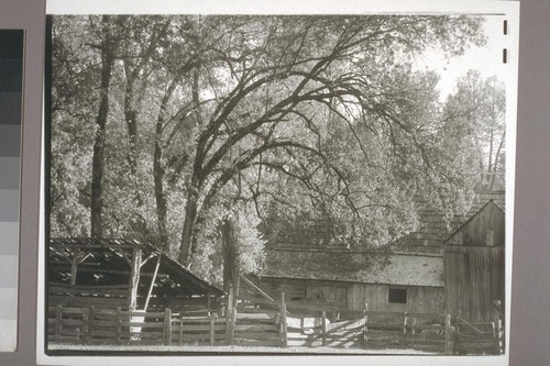 Barn near Nevada City. 1934