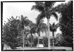 Exterior view of a house with palm trees