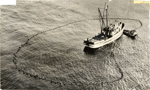 [Fishing boat laying sardine net]