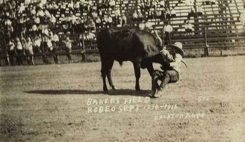 John Dobbins, Bakersfield Rodeo