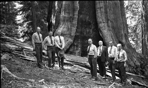 NPS Groups, Pershing Tree on Pershing's Birthday, L to R: Carlson, Kerr, Wegner, Spiglemyre, Griffith, Walker, Parkes