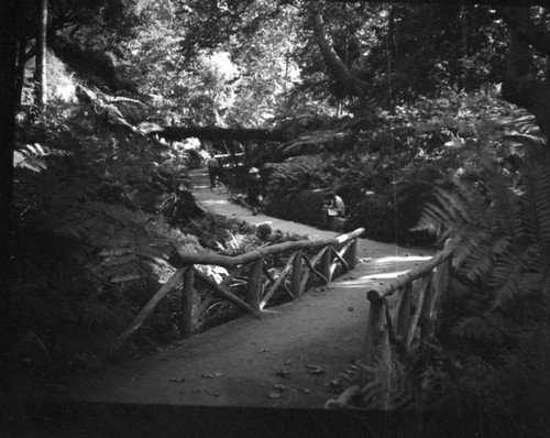 Pathway in Griffith Park