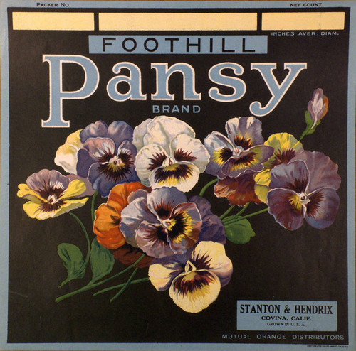 Pansy label
