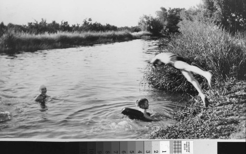 Photograph of Franklin Ditch, Sutter County (Calif.)