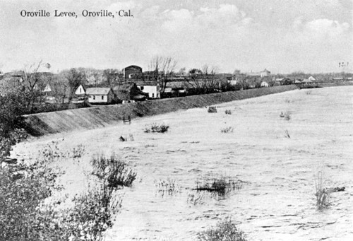 Oroville levee