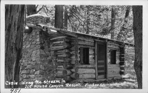 Cabin along the Stream in Ice House Canyon Resort