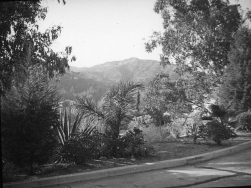 Roadside view of Whitley Heights