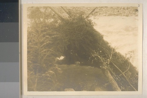 Salmon spearing huts; 1907; 6 prints, 5 negatives