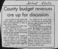 County budget revenues are up for discussion