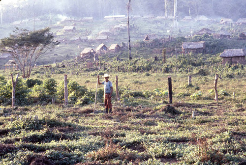 Guatemalan refugee work in a field, Ixcán, 1983