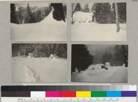 Whitaker's Forest during heavy snowfall early in 1937. Pictures taken by Charles Crose, Caretaker