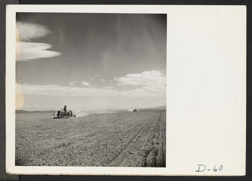 Tule Lake, Newell, Calif.--Two evacuee crews are shown operating onion planters on the farm at this War Relocation Authority center. Each planter can seed about fifteen acres of white onion per day. Photographer: Stewart, Francis Newell, California