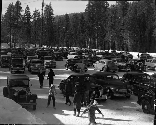 Vehicular Use, Parking Area at Lodgepole