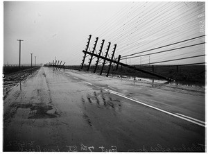 Telephone poles downed in Long Beach, 1952