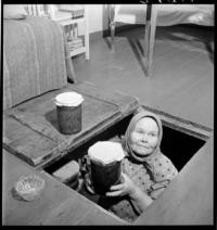 Leppavirta [Woman in farmhouse cellar] [Evacuated family of a farmer who is serving at the front]