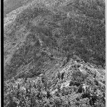 Edwin Cook and Susan Pflanz Cook Collection — Calisphere