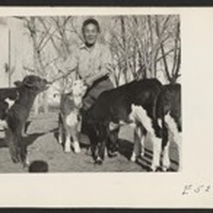Center dairy farm foreman, J. Abe, with several of his born proteges ...