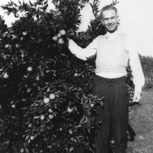 Visitor's first orange tree — Calisphere