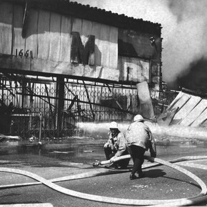 Martin's Furniture Store, Watts Riots — Calisphere