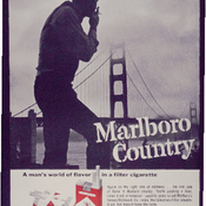 【現金特価】 Marlboro Country — Calisphere モータースポーツ