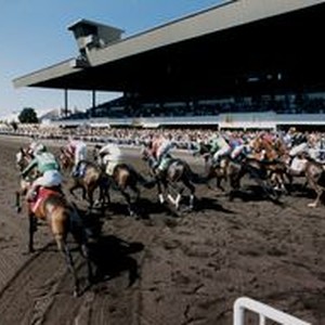 Horses moving for position after leaving the gate at the Sonoma County ...