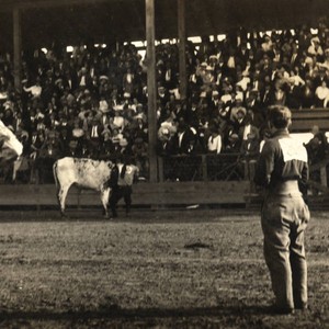 Stockton Rodeo — Calisphere