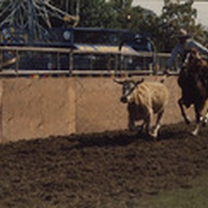 Mexican Rodeo, Porterville, Calif., 1989, 002 — Calisphere